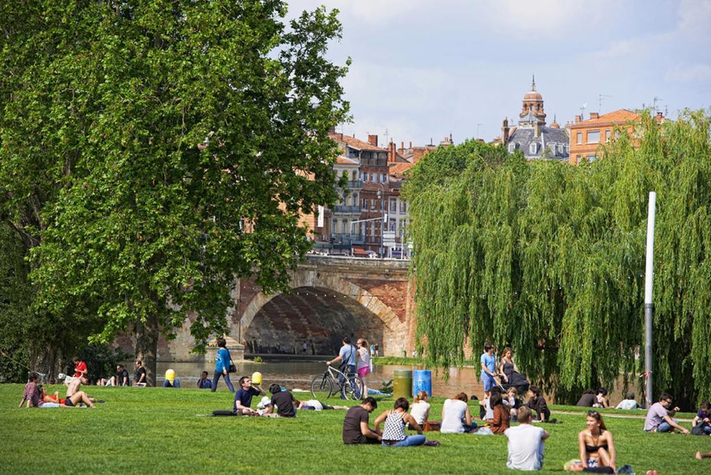 Le Clos Des Violettes Toulouse Exteriér fotografie