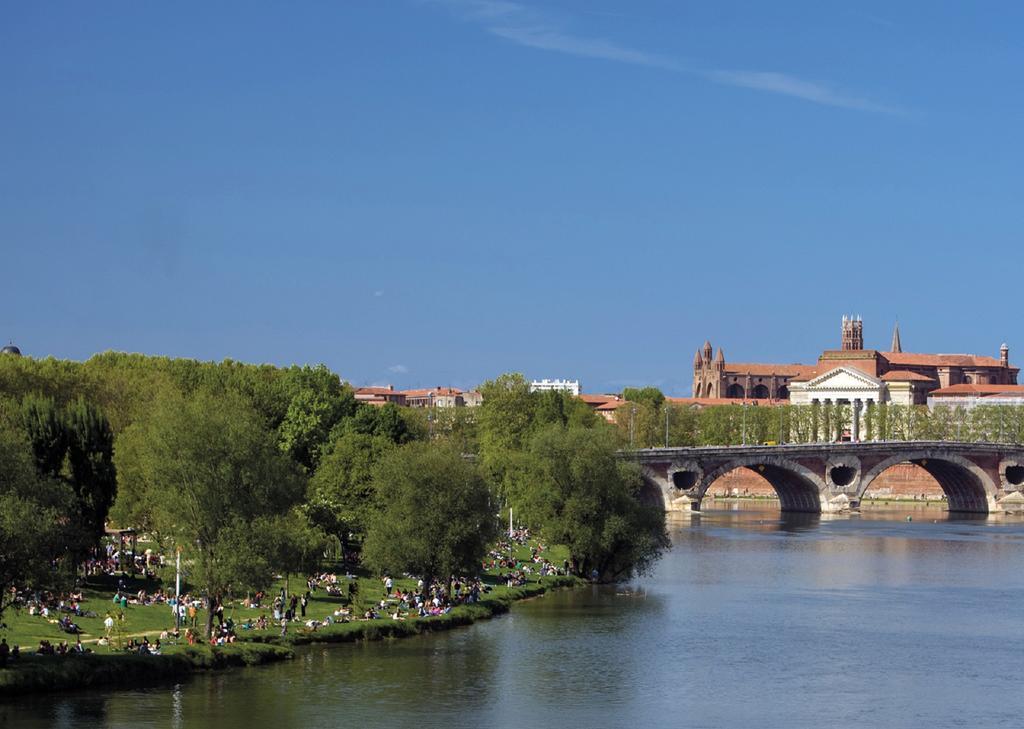 Le Clos Des Violettes Toulouse Exteriér fotografie