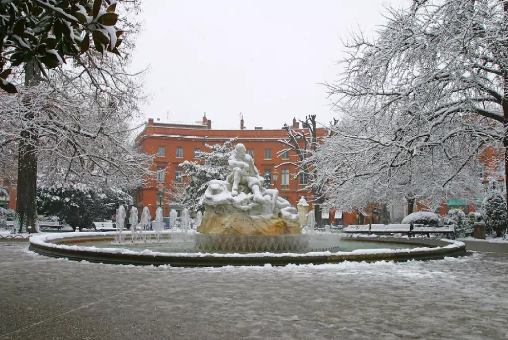 Le Clos Des Violettes Toulouse Exteriér fotografie